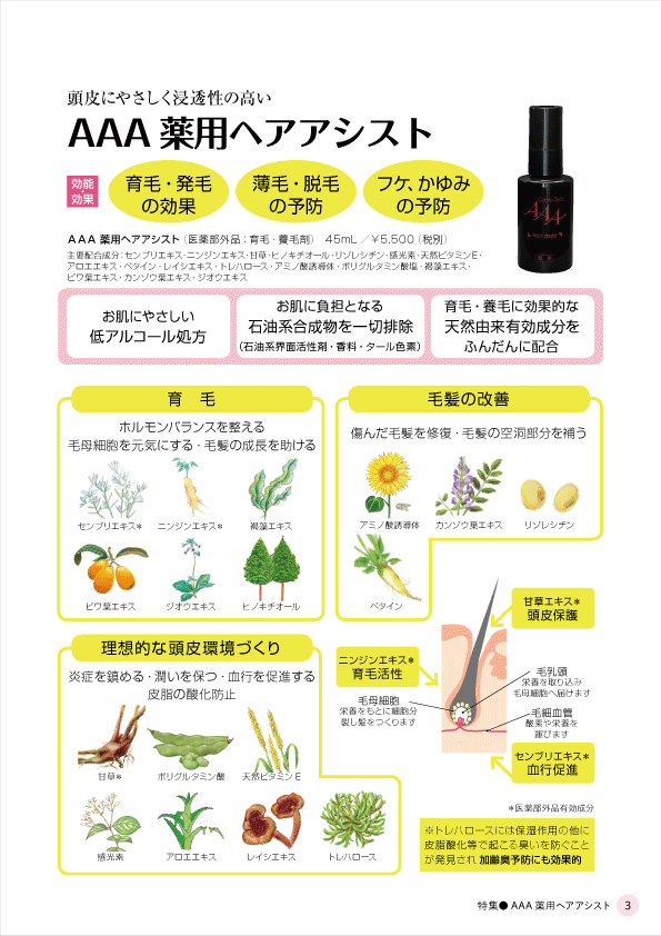 デューミラン47号P3