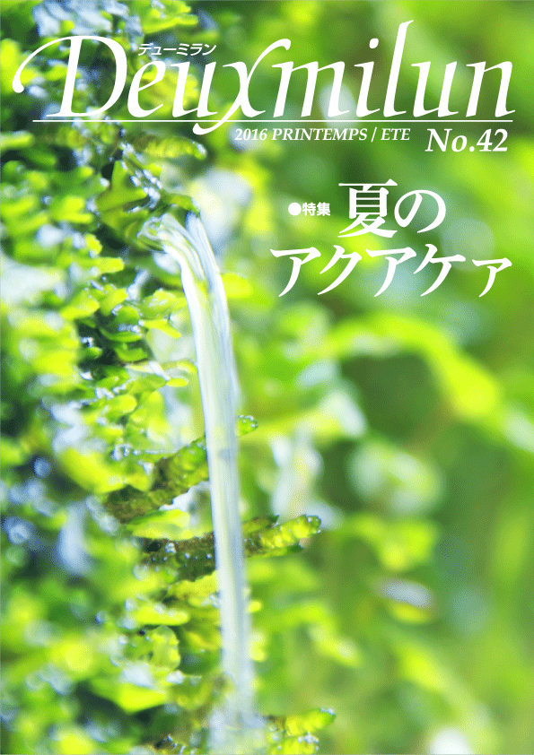 デューミラン42号表紙