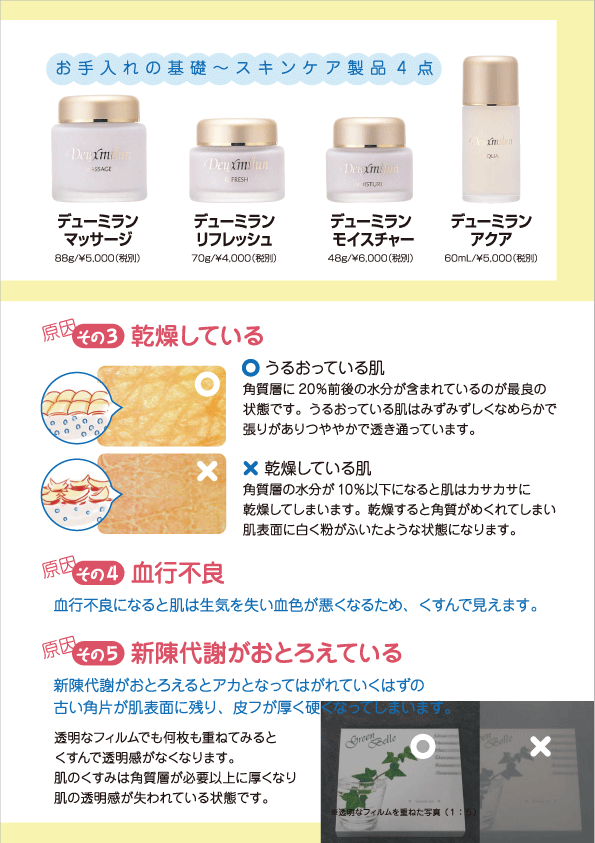 デューミラン31号P3