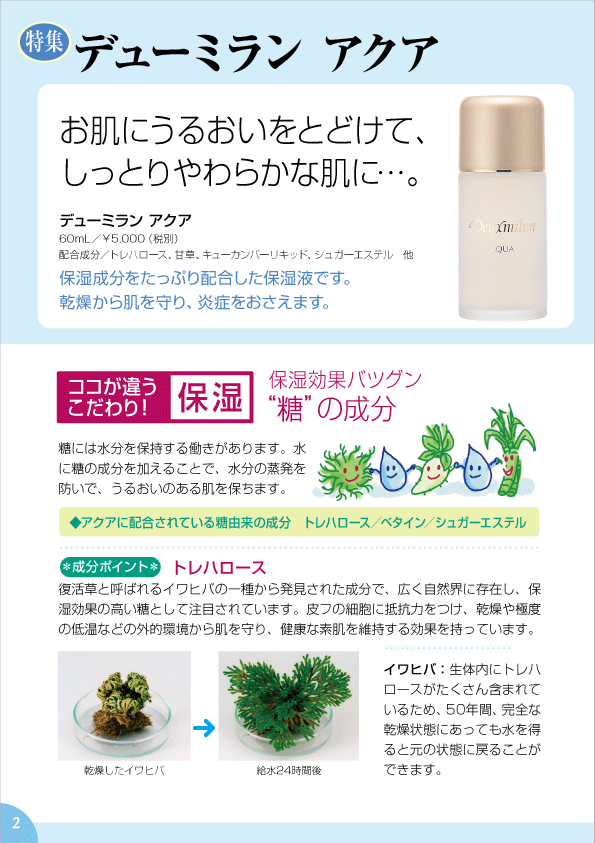 デューミラン28号P2