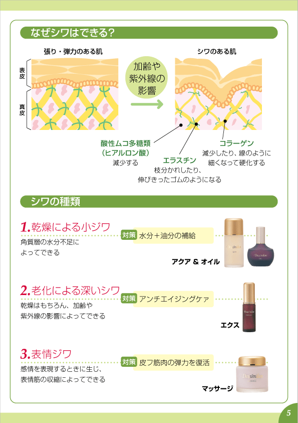 デューミラン25号P5